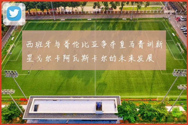 西班牙与哥伦比亚争夺皇马青训新星戈尔卡阿瓦斯卡尔的未来发展