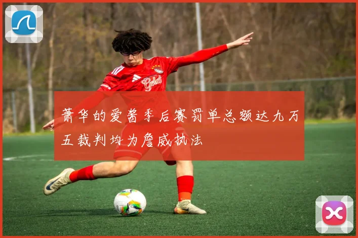 萧华的爱酱季后赛罚单总额达九万五裁判均为詹威执法